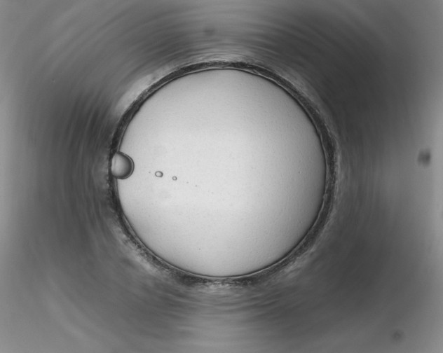 X0000116310834200912211920