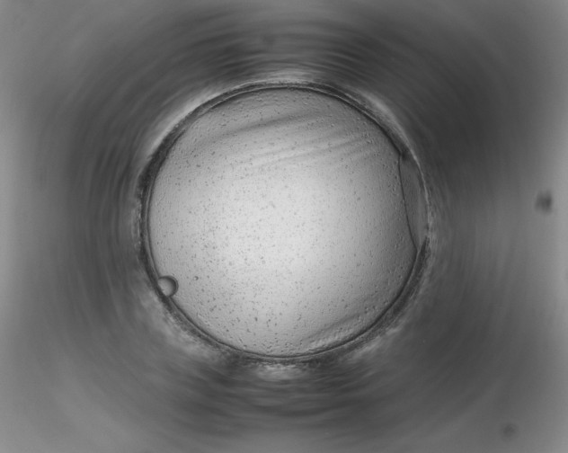 X0000116310835200912211920