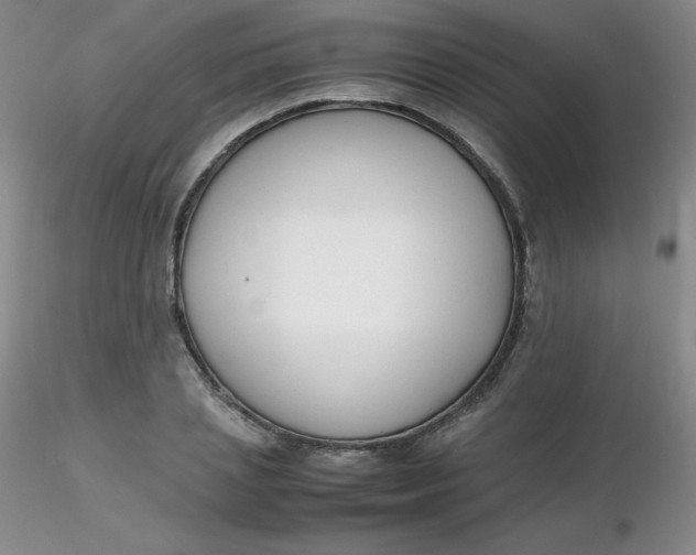 X0000116310837200912211921