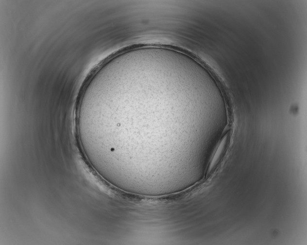 X0000116310840200912211921