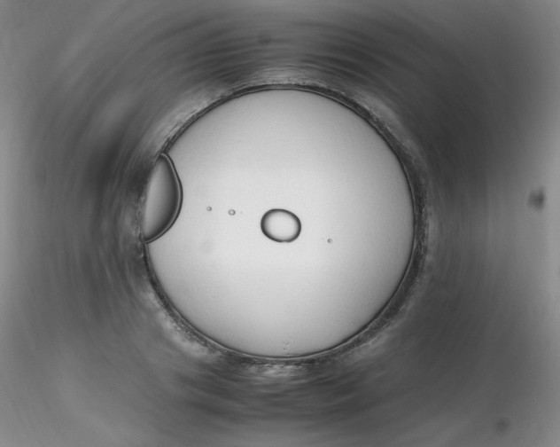 X0000116310841200912211921