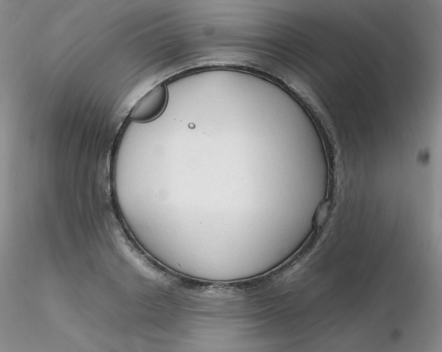 X0000116310842200912211921