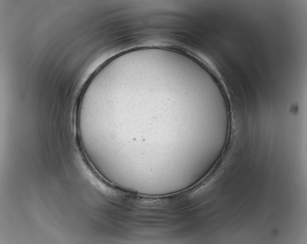 X0000116310843200912211921