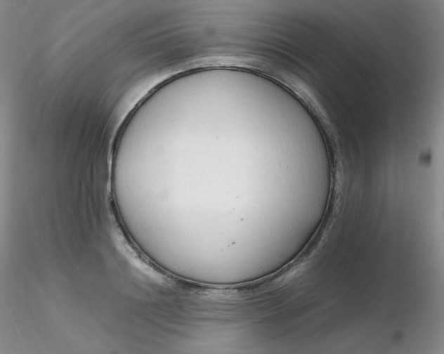 X0000116310844200912211921