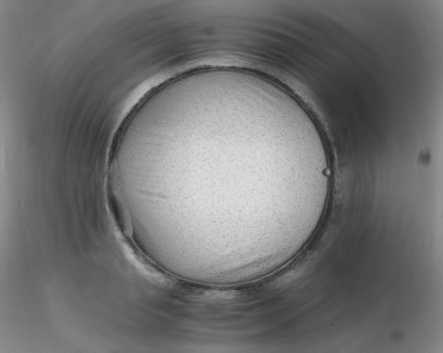 X0000116310845200912211921