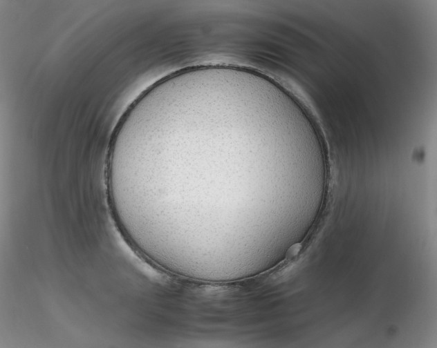 X0000116310847200912211921