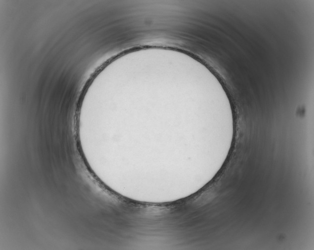 X0000116310848200912211921