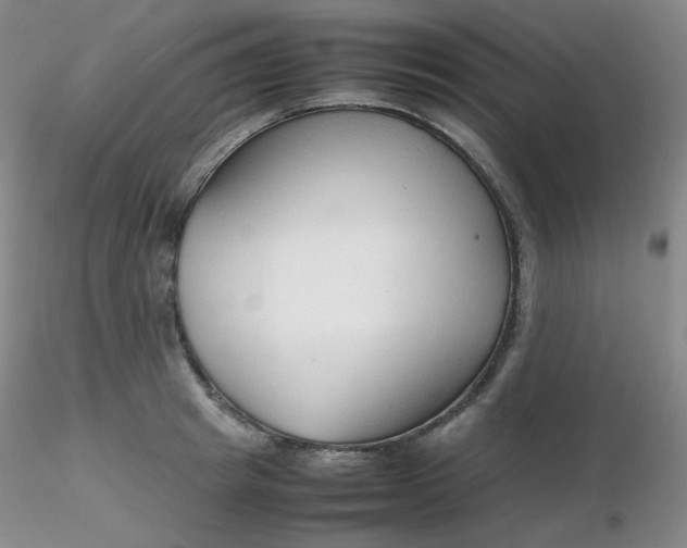 X0000116310849200912211921