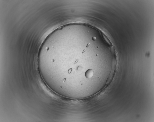 X0000116310850200912211921