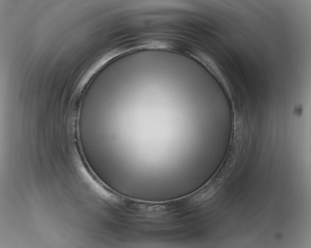 X0000116310851200912211921