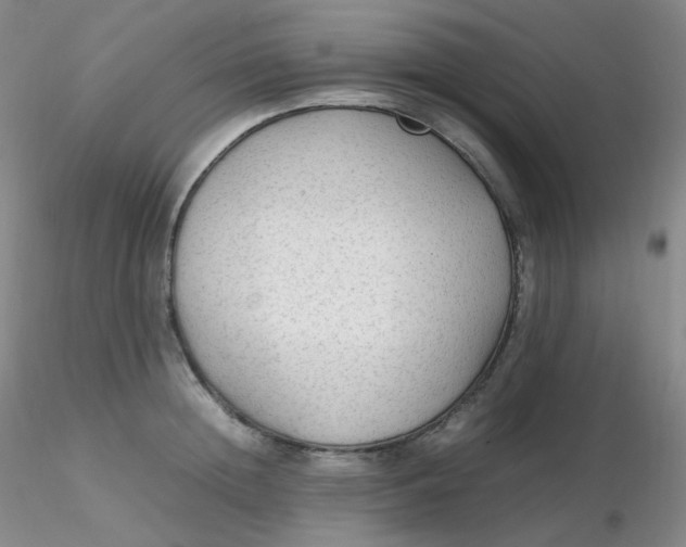 X0000116310852200912211921