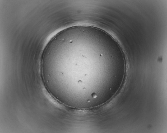 X0000116310854200912211921