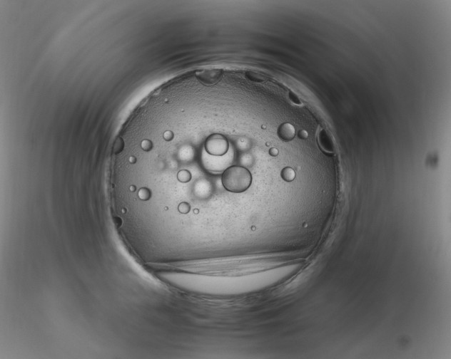 X0000116310855200912211921