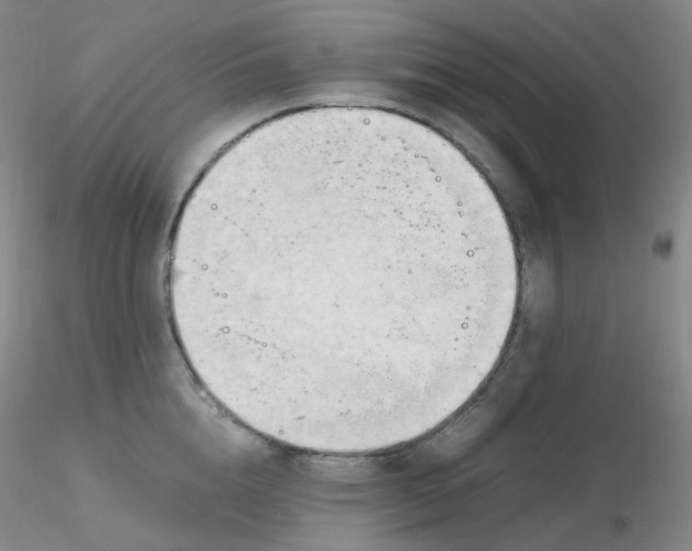 X0000116310856200912211921