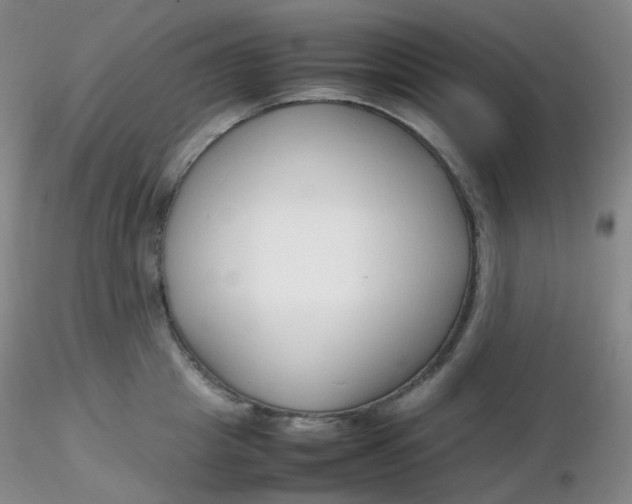 X0000116310857200912211921