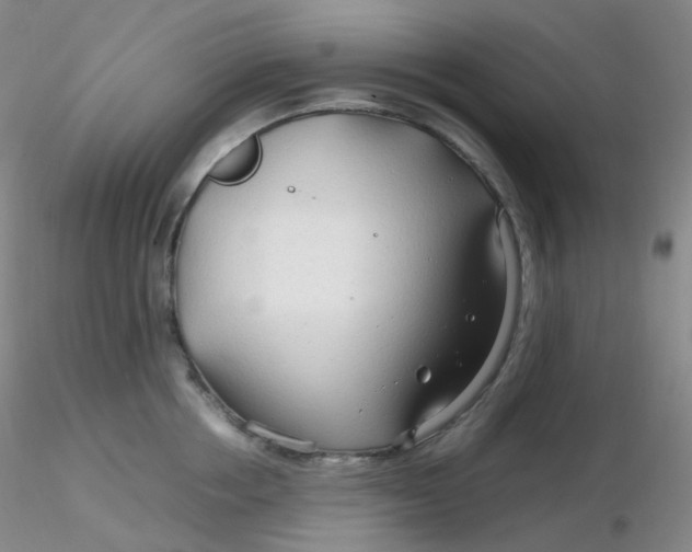 X0000116310858200912211921