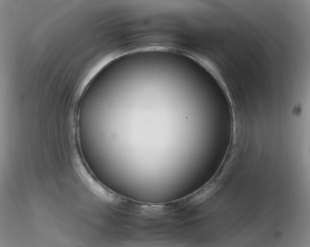 X0000116310859200912211921