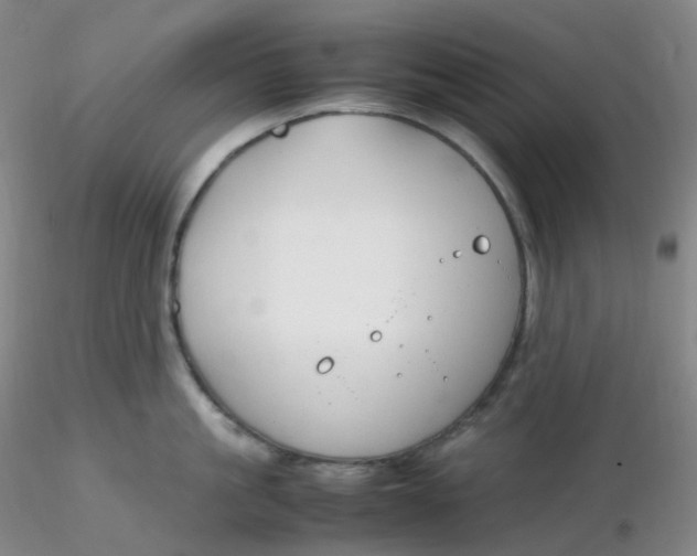 X0000116310861200912211921