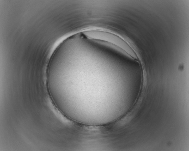 X0000116310862200912211921