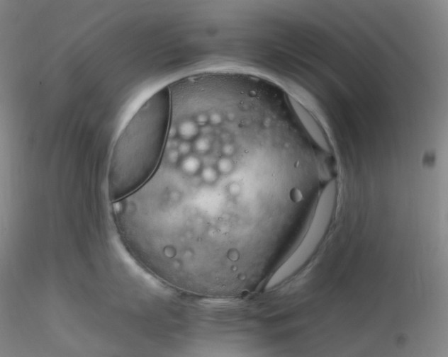 X0000116310863200912211921