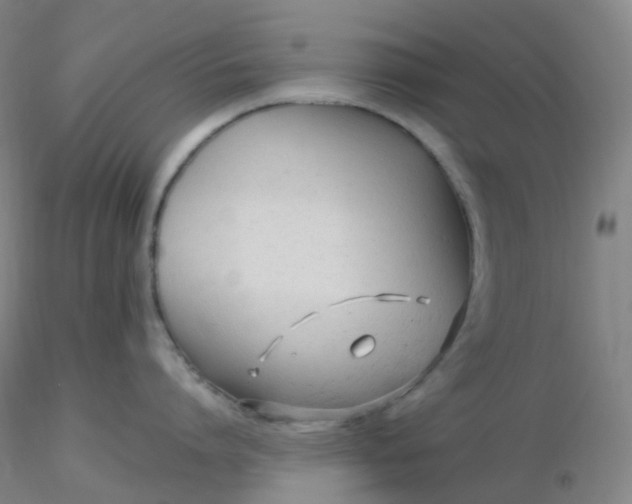 X0000116310864200912211921