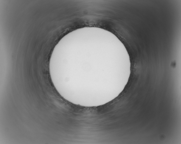 X0000116310865200912211920