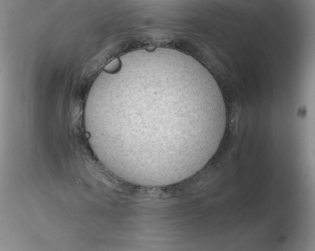 X0000116310866200912211920