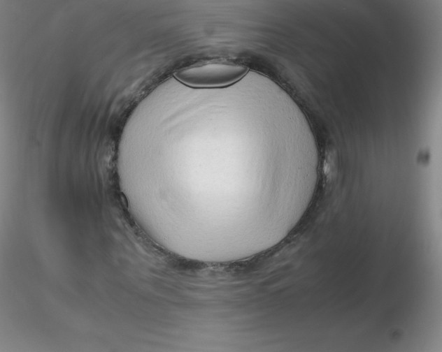 X0000116310867200912211920