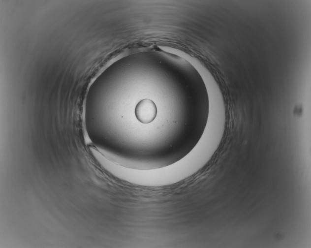 X0000116310868200912211920