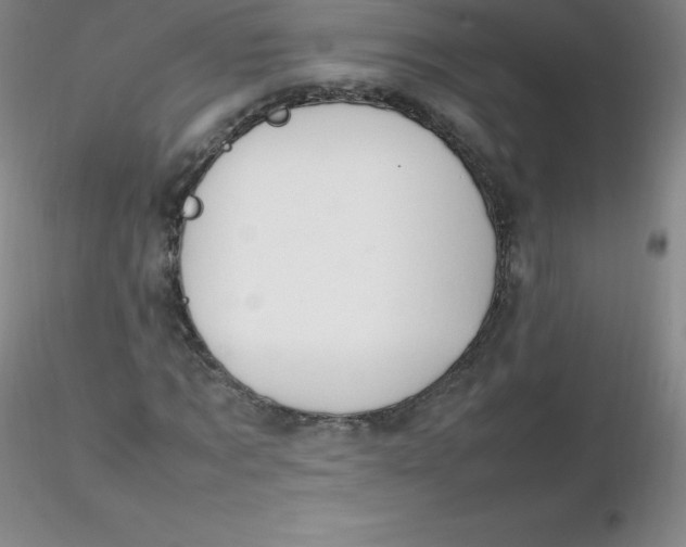 X0000116310869200912211920