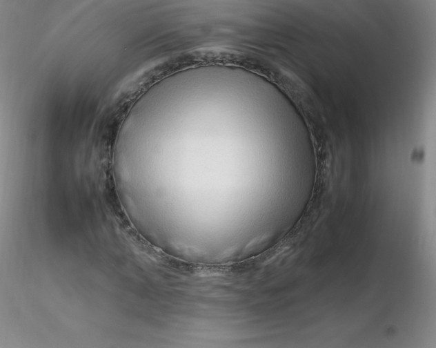 X0000116310870200912211920