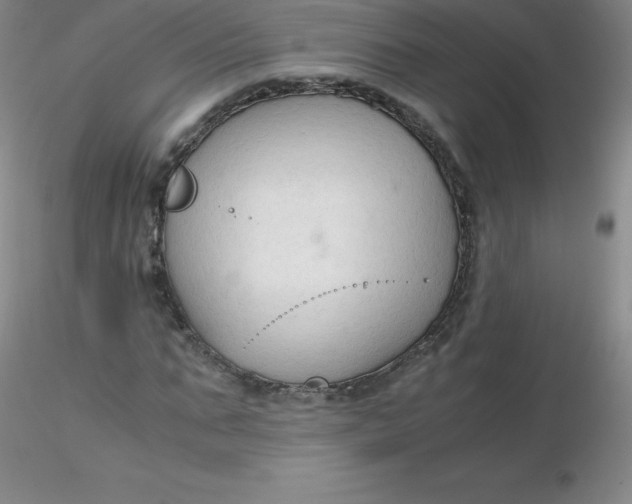 X0000116310871200912211920