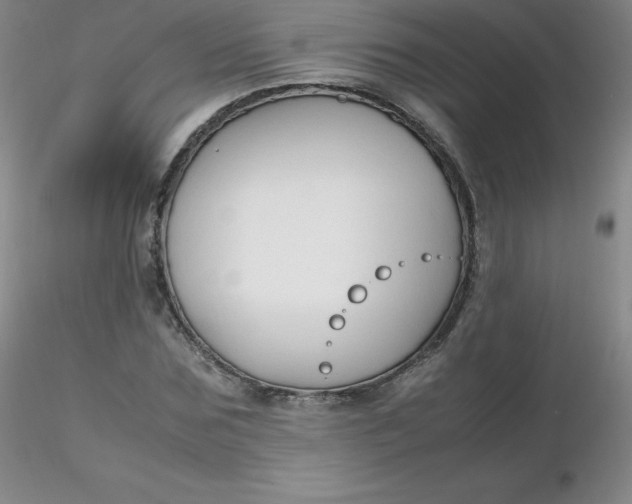 X0000116310875200912211920