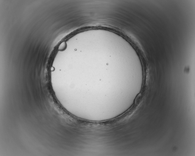 X0000116310876200912211920