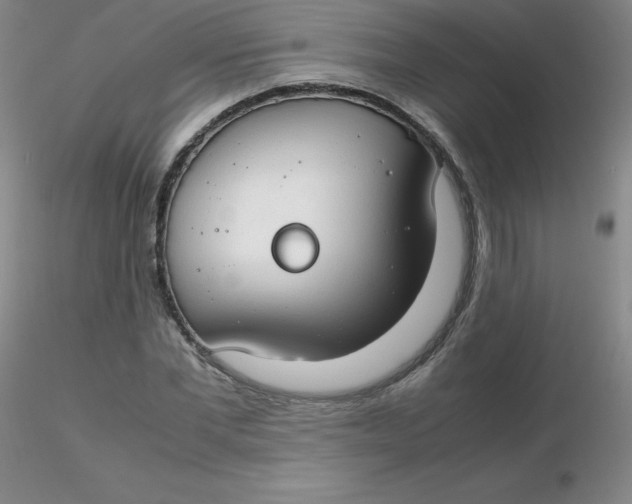 X0000116310877200912211920