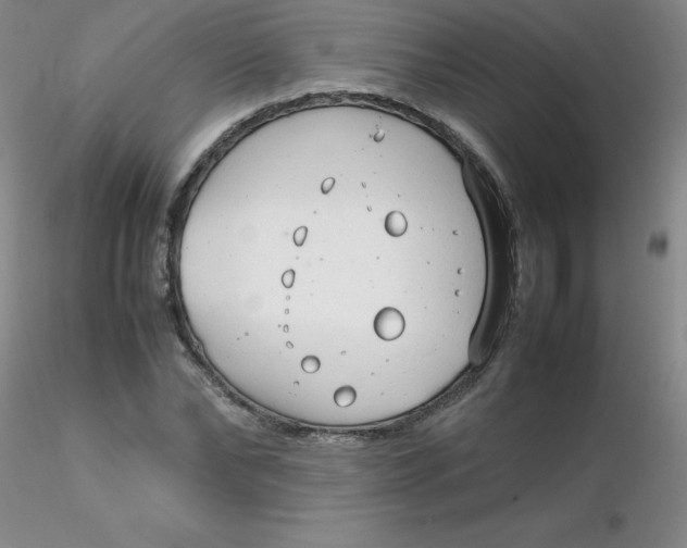 X0000116310878200912211920