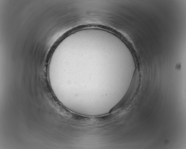 X0000116310879200912211920