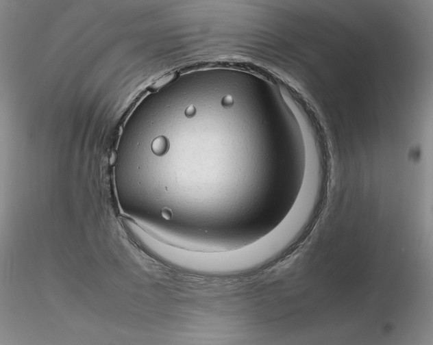 X0000116310881200912211920