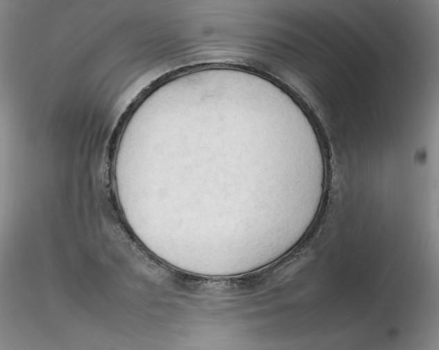 X0000116310883200912211920