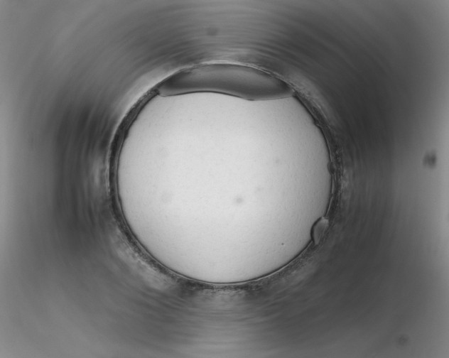 X0000116310884200912211920