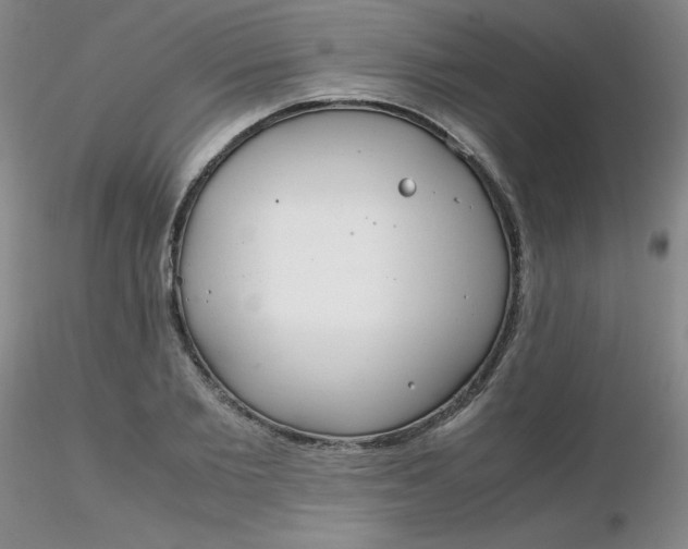 X0000116310885200912211920