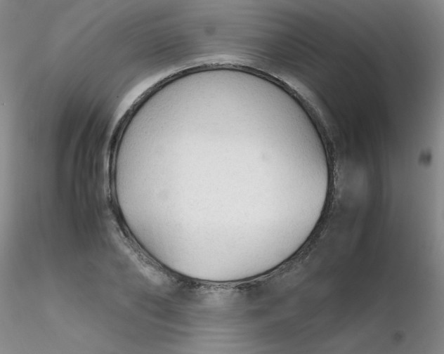 X0000116310886200912211920