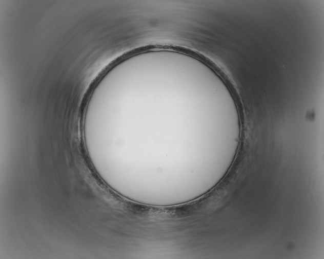 X0000116310887200912211920