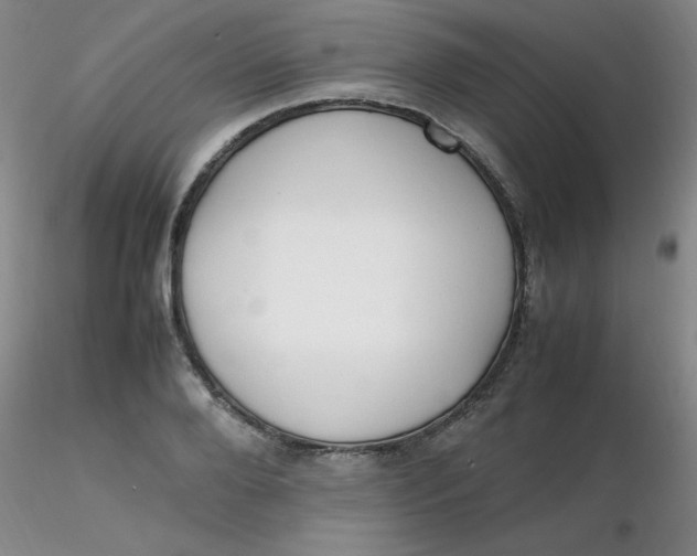 X0000116310888200912211920