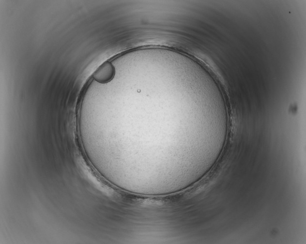 X0000116310890200912211920