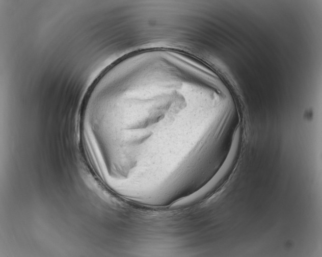 X0000116310892200912211920