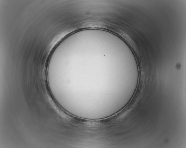 X0000116310893200912211920