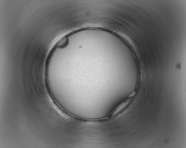 X0000116310894200912211920