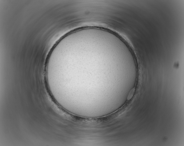 X0000116310895200912211920