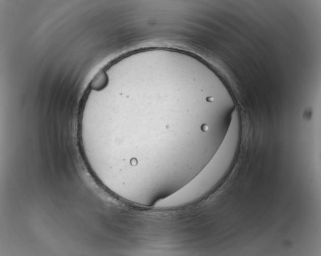 X0000116310896200912211920